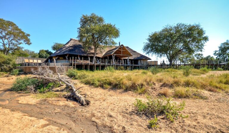 4 Day Luxury Bakubung Bush Lodge All Inclusive Safari Package